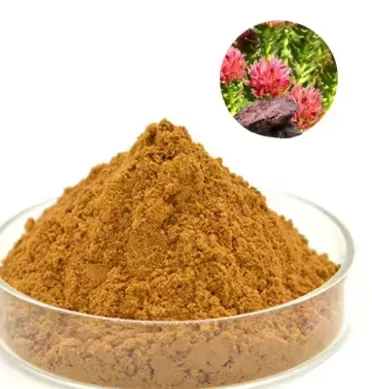 Memopezil™ Rhodiola Rosea Root Powder